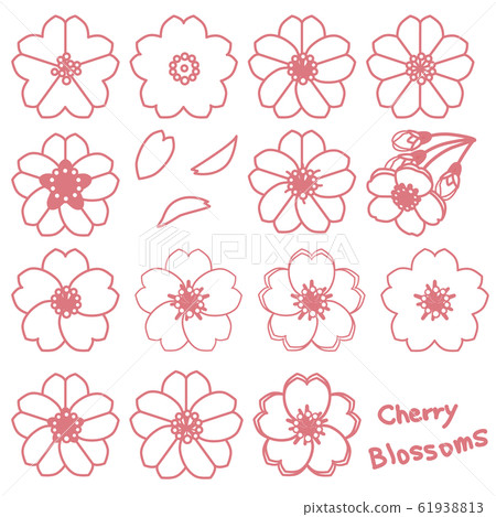 cherry blossom drawing