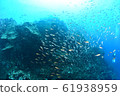 Underwater walk 61938959