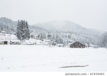 Snow country 61939463