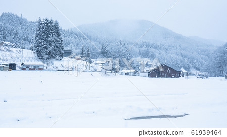 Snow country 61939464