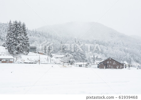 雪國 61939468