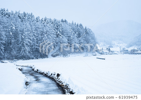 Snow country 61939475