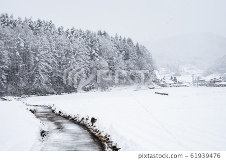Snow country 61939476