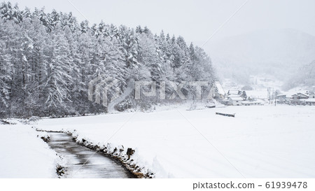 Snow country 61939478