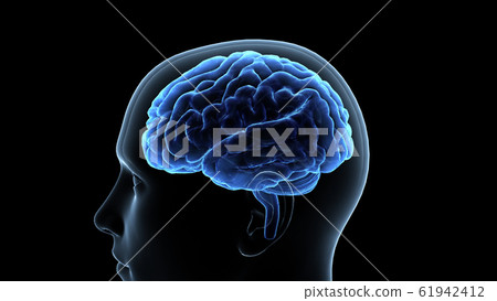 腦腦腦頭頭腦想法3d圖CG 腦腦腦頭頭腦想法3d圖CG 61942412