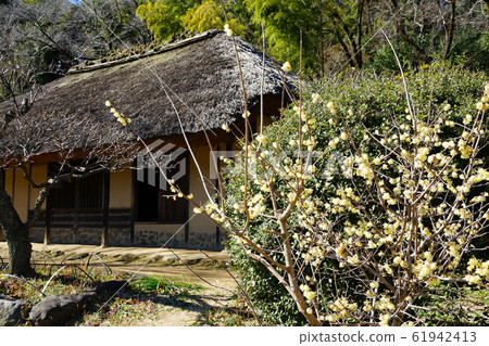町田藥師池塘公園的羅比 町田藥師池塘公園的羅比 61942413