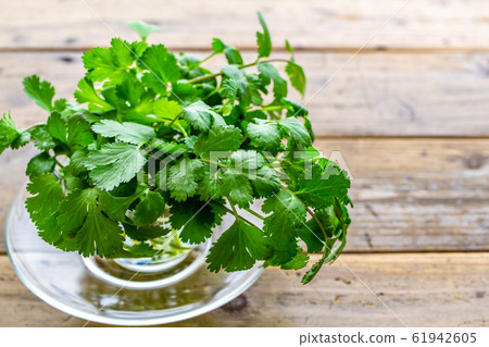 Pakchi coriander image 61942605