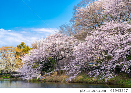 縣三池公園 縣三池公園 61945227