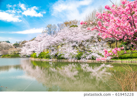 縣三池公園 縣三池公園 61945228