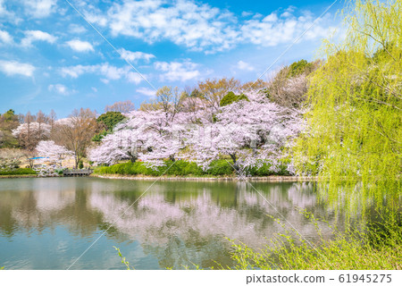 Prefectural Mitsuike Park 61945275