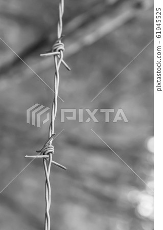 stretched barbed wire on a blurred background of a 61945525