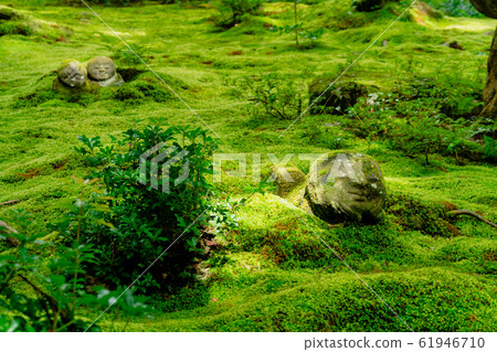 京都大原Sanzenin Warabbe Jizo 京都大原Sanzenin Warabbe Jizo 61946710