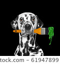Dalmatian dog as a painter with brush and green color. Isolated on black 61947899