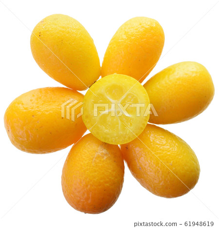 Group of fresh kumquat close up isolated. Group of fresh kumquat close up isolated. 61948619