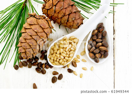 Cedar nuts in two spoons on light board top 61949344