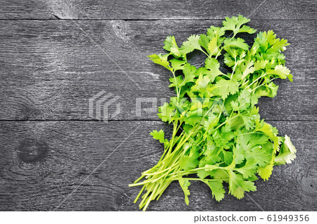 Cilantro fresh on board top 61949356