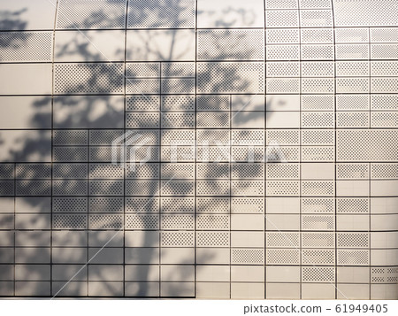 Wall tile Tree branches silhouette sun shade Abstract background Wall tile Tree branches silhouette sun shade Abstract background 61949405