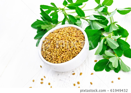Fenugreek with green leaves in bowl on light board Fenugreek with green leaves in bowl on light board 61949432