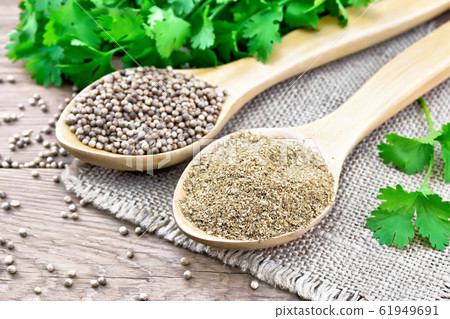 Coriander ground and seeds in two spoons on board Coriander ground and seeds in two spoons on board 61949691