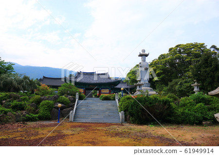 善德寺,春天,花朵,野花,花園,花園,春天,寺廟,韓屋, 善德寺,春天,花朵,野花,花園,花園,春天,寺廟,韓屋, 61949914