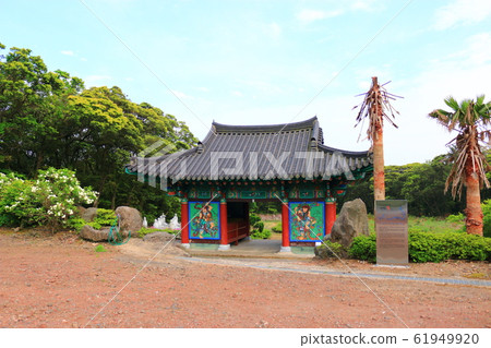 善德寺,春天,花朵,野花,花園,花園,春天,寺廟,韓屋, 善德寺,春天,花朵,野花,花園,花園,春天,寺廟,韓屋, 61949920