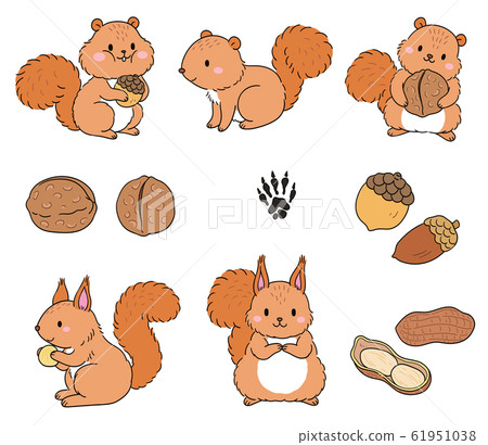 Various actions of squirrels, a group 61951038