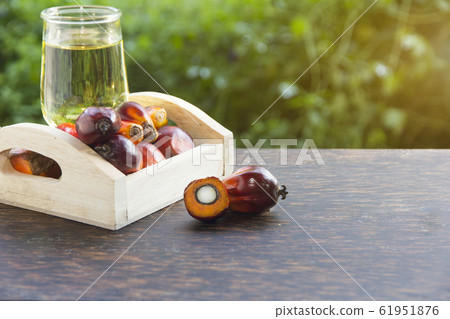 Red Oil Palm seed on leaf and cooking palm oil 61951876