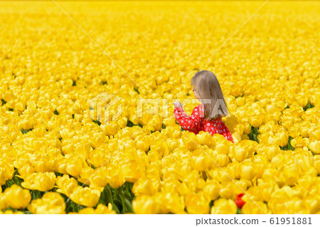 Girl running in a yellow tulip field 61951881