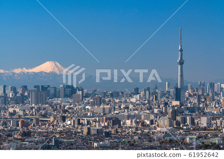 "Tokyo" Tokyo cityscape, Mt. Fuji and Sky Tree 61952642