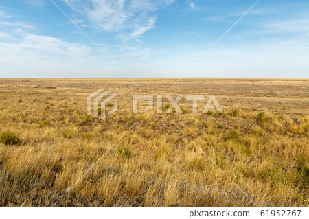 Landscape of the deserted steppe. Kazakhstan. Landscape of the deserted steppe. Kazakhstan. 61952767