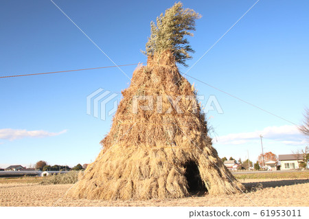 唐燒(To木縣摩卡市) 唐燒(To木縣摩卡市) 61953011