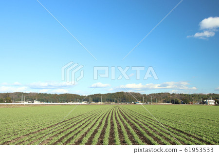 To木縣牧木高ez澤町 61953533