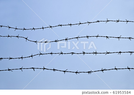 Barb wire fence 61953584
