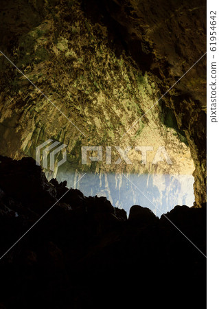 View inside Deer cave in Gunung Mulu National Park 61954642