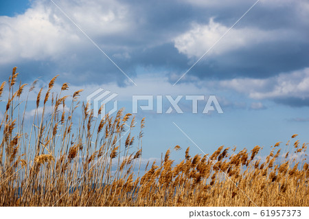 Scenic View Of Lake Against Sky Scenic View Of Lake Against Sky 61957373