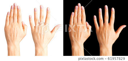 Set of women hands showing palm isolated on a white and black Set of women hands showing palm isolated on a white and black 61957829