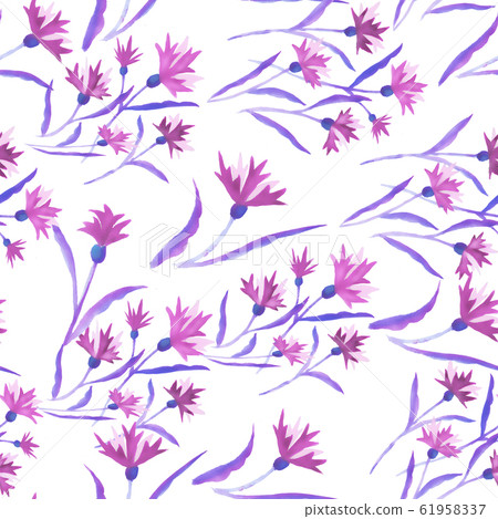 Beautiful watercolor illustration with watercolour blue cornflower on white background. seamless 61958337