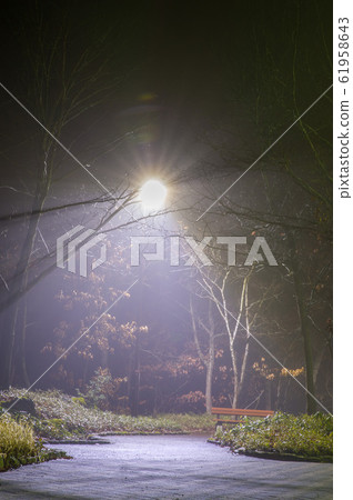 Niigata Pre-Snowfall Light Up Niigata Pre-Snowfall Light Up 61958643