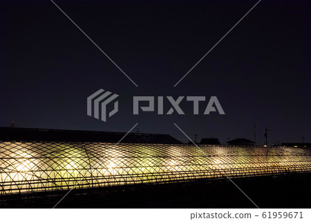 夜發光溫室3 61959671