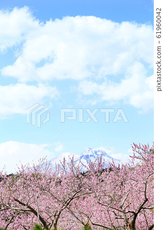 信州丹鄉鄉和山。 61960042