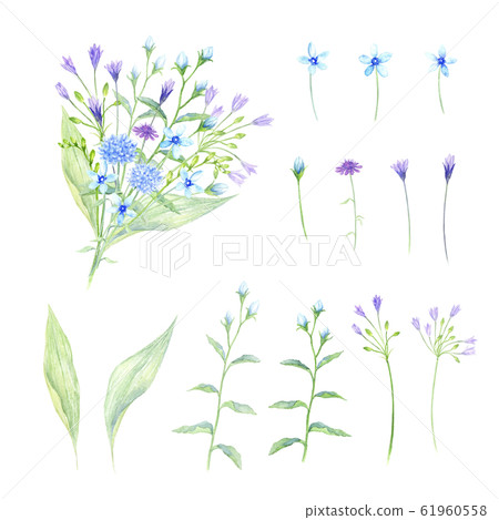 Bouquet set blue system watercolor illustration 61960558