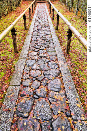 深秋在京都的花園 61960914