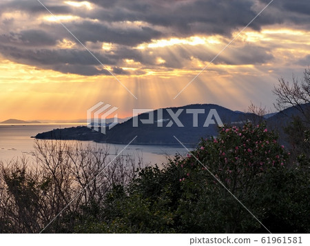 View of Harima Nada seen from Cape Manyo at dusk 61961581