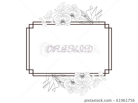 orchid flowers frame orchid flowers frame 61961756