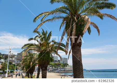 Summer image Summer image 61962326