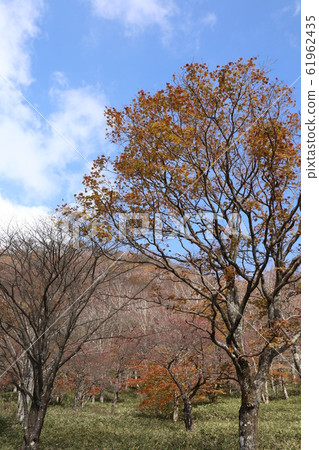 群馬縣赤城山的秋色 61962435