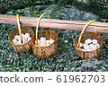 草津溫泉蛋 61962703