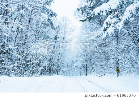 Snow-covered road  61963370