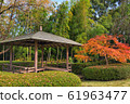 Autumn leaves and resting place 61963477