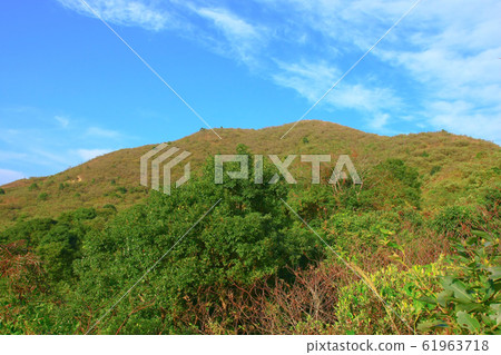 25 Dec 2008 The Landscape Of Hong kong Maclehose 61963718
